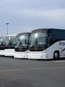 buses-travel-transportation-vehicle-1262154.jpg