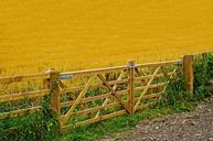 agriculture-crop-fence-gate-job-71656.jpg