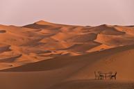 sand-sahara-dunes-morocco-1623121.jpg