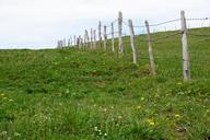 pasture-meadow-nature-green-fence-754118.jpg