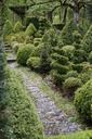 path-boxwood-garden-bushes-1313665.jpg