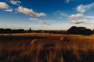 pasture-hay-bales-countryside-371432.jpg