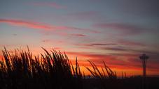 seattle-sunset-evening-space-needle-420320.jpg