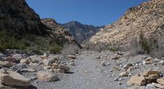 red-rock-nevada-desert-canyon-dry-596775.jpg