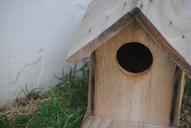 birdhouse-wooden-wood-house-514023.jpg