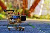 shopping-cart-shopping-purchasing-1080837.jpg