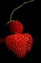 strawberry-fruit-red-sweet-berries-649399.jpg