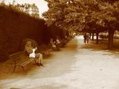 park-bench-paris-woman-sitting-500555.jpg