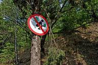 forest-sign-ukraine-crimean-crimea-615318.jpg