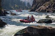 rafting-river-water-sport-883523.jpg