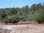 river-riverbed-dehydrated-374175.jpg