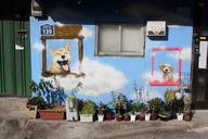 ant-town-mural-puppy-wall-graffiti-734651.jpg