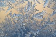 snow-crystals-winter-frosty-frozen-1622050.jpg