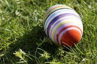 easter-egg-meadow-spring-311633.jpg