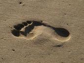 sand-beach-trace-tracks-in-the-sand-1036547.jpg