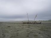 beach-sand-sea-driftwood-drift-19370.jpg