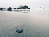 Pebble_on_Wet_Sandy_Beach.jpg