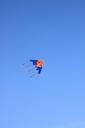 blue-flying-kite-sea-sky-nature-87864.jpg