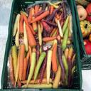 carrots-colorful-vegetables-healthy-1680741.jpg