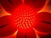 lamp-nightlight-flower-pink-glow-646341.jpg