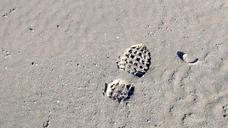 steps-sand-garraf-910421.jpg