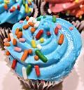 chocolate-mini-cupcake-blue-frosting-749499.jpg