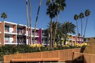 The colorful Saguaro Hotel in Palm Springs, California LCCN2013631280.tif.tiff