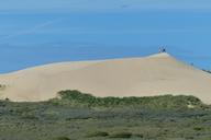 dune-sand-dunes-beach-183976.jpg