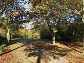 park-autumn-fall-nature-forest-527699.jpg