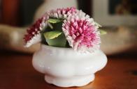 porcelain-flower-white-pink-floral-480552.jpg