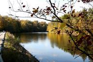 lake-autumn-nature-bear-lake-645869.jpg