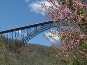 New-River-Gorge-Bridge-in-Springtime.jpg