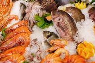 seafood-food-healthy-sea-fresh-165220.jpg