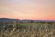 field-meadow-farmland-village-691387.jpg