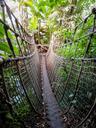 jungle-suspension-bridge-abyss-779460.jpg