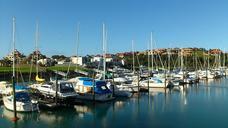 new-zealand-oyster-petit-harbour-978966.jpg