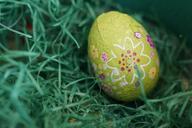 egg-easter-egg-easter-nest-child-322252.jpg