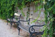 bench-park-bench-city-leaves-green-252776.jpg