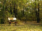 bench-fall-autumn-park-nature-481440.jpg