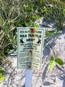 sign-beach-turtles-poster-notice-634319.jpg