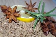 star-anise-anise-rosemary-lemon-1061555.jpg