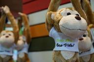 costa-rica-monkey-teddy-bear-1178156.jpg