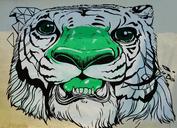 graffiti-wall-art-street-art-tiger-1385487.jpg