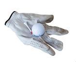 golf-glove-leather-sport-ball-881319.jpg