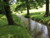 meadow-water-meadow-stream-summer-641116.jpg