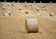 straw-straw-bales-round-bales-921081.jpg