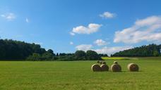 straw-bales-agriculture-hay-171614.jpg