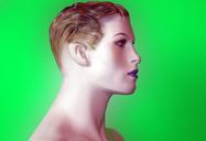 mannequin-dummy-head-profile-17980.jpg