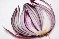 onion-allium-cepa-red-onion-sliced-276586.jpg