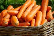 carrots-basket-vegetables-market-673184.jpg